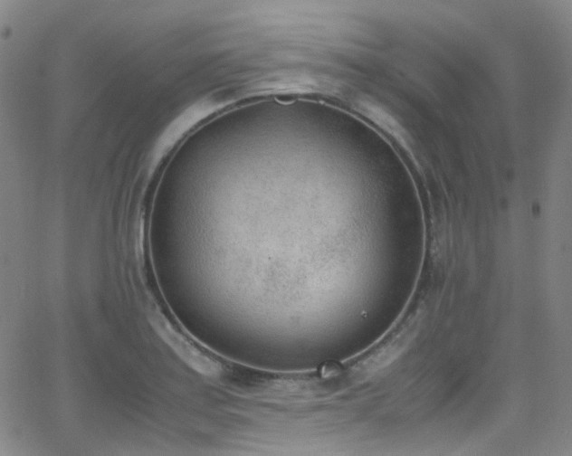 X0000062871179200601131433