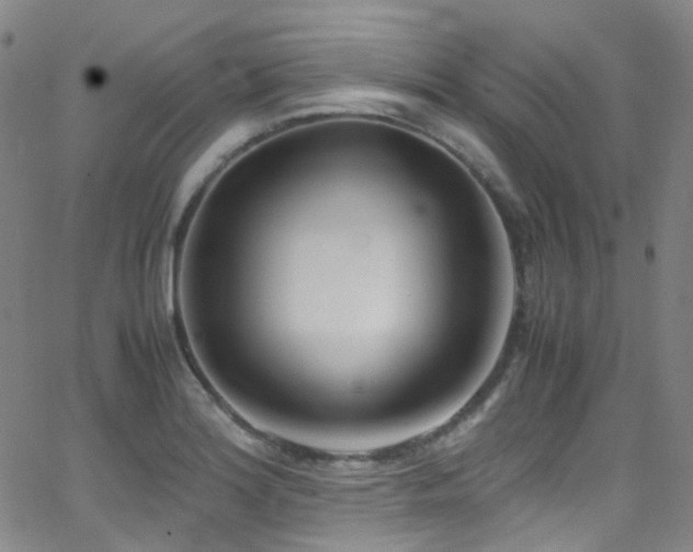 X0000062871180200601131433