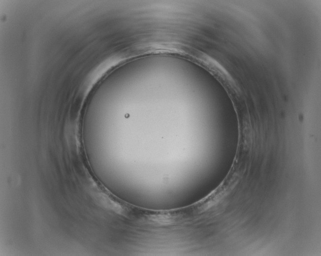 X0000062871182200601131433