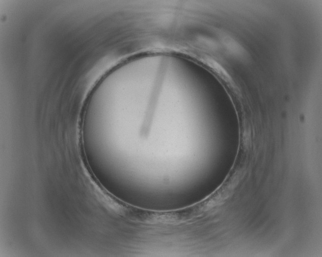 X0000062871183200601131433