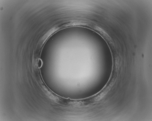 X0000062871185200601131433