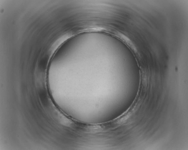 X0000062871186200601131433