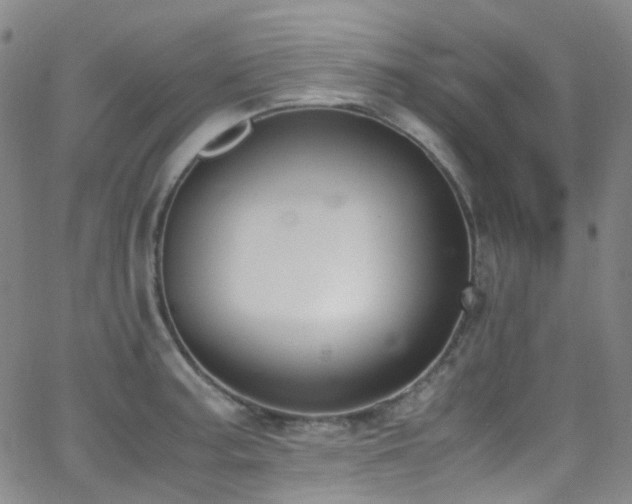 X0000062871187200601131433