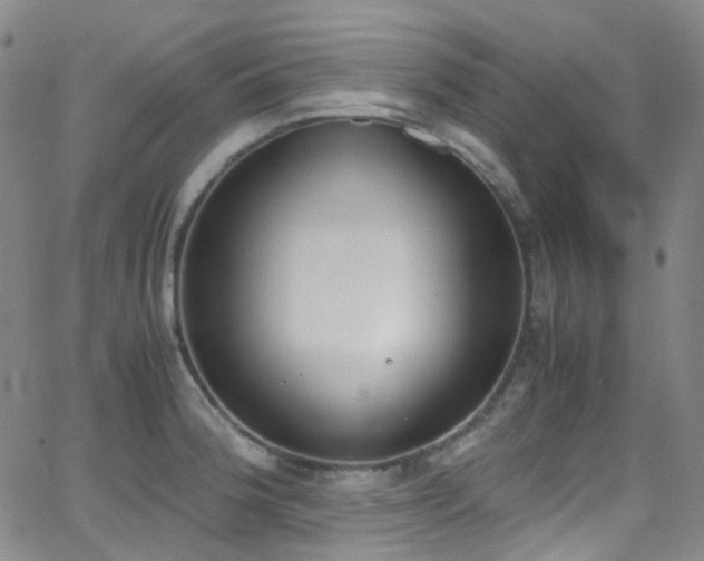 X0000062871188200601131433