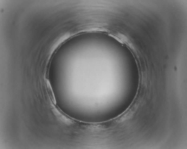 X0000062871189200601131433