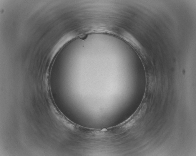 X0000062871190200601131433