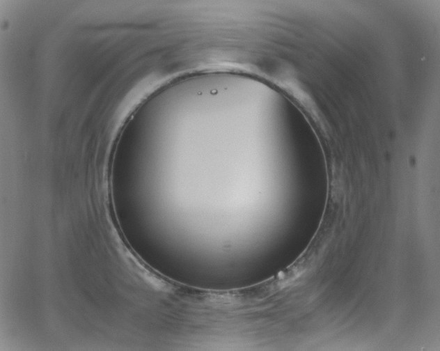 X0000062871191200601131433