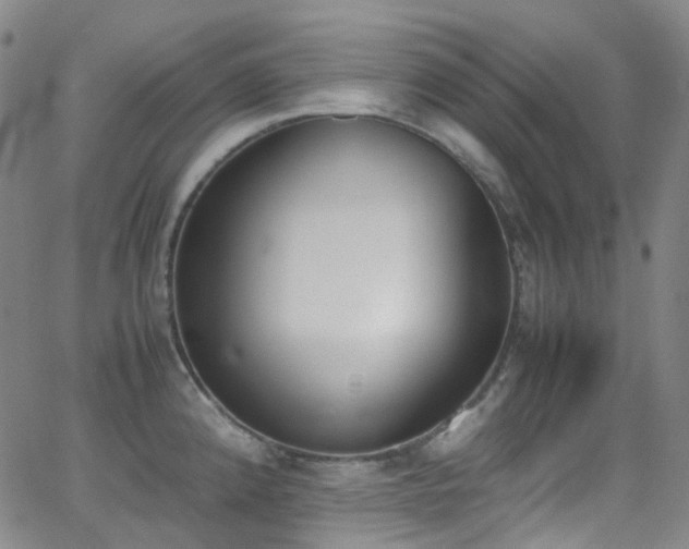 X0000062871192200601131433