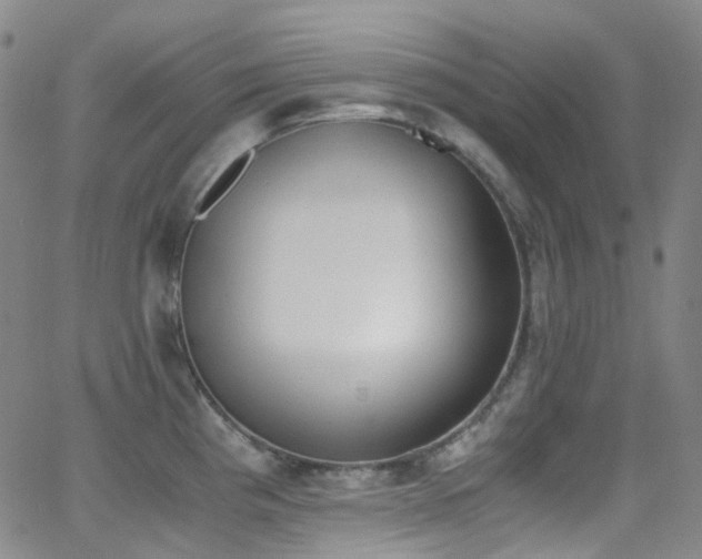 X0000062871193200601131433