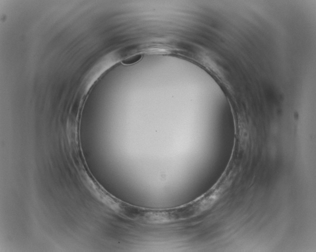 X0000062871194200601131433