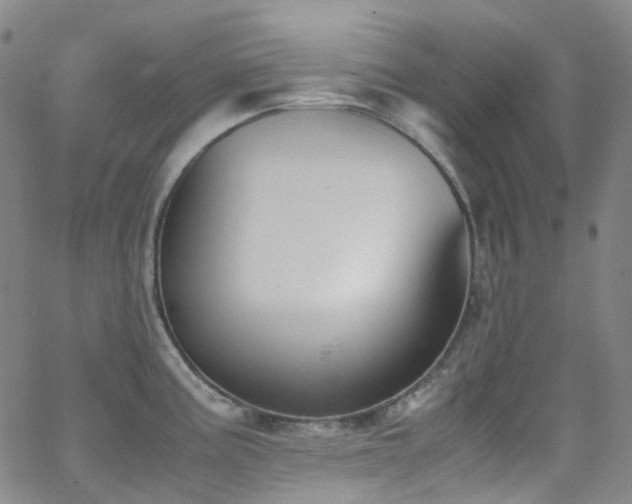 X0000062871195200601131433