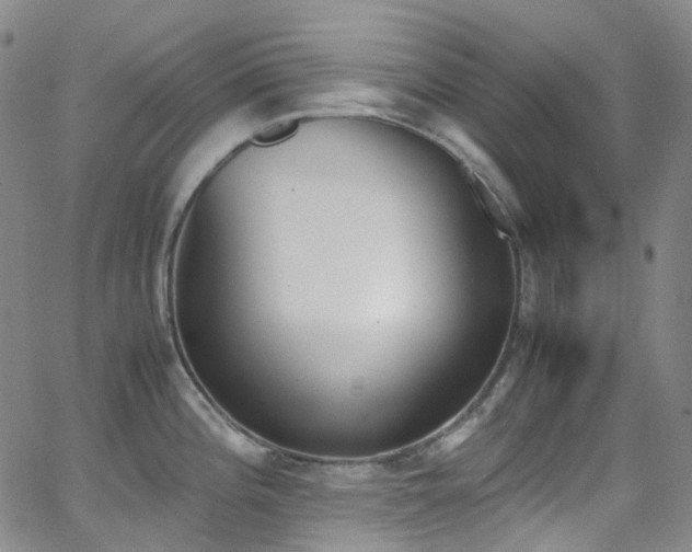 X0000062871196200601131433