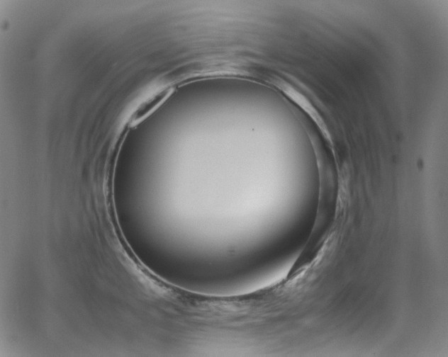 X0000062871197200601131433