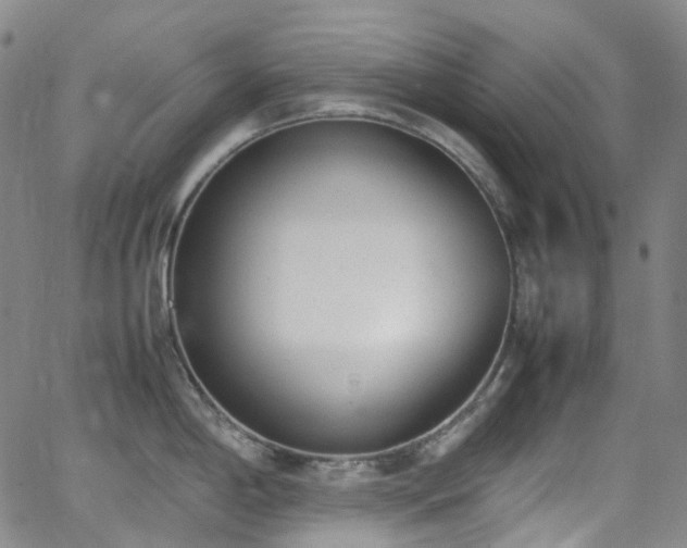 X0000062871198200601131433