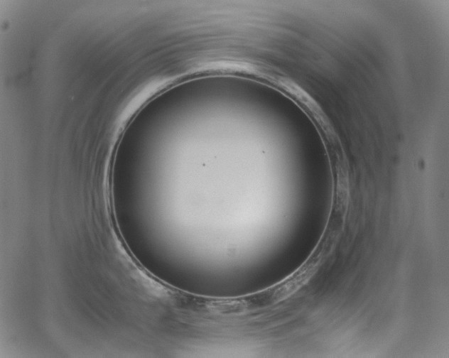 X0000062871199200601131433