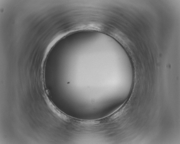 X0000062871200200601131433