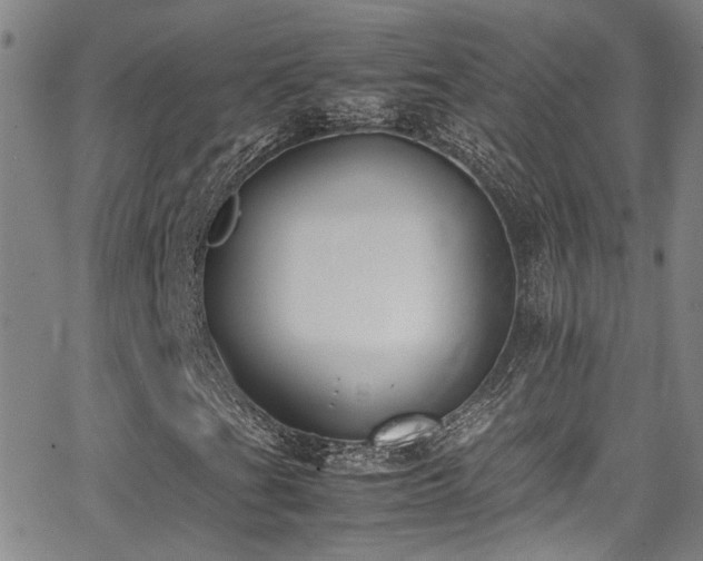 X0000062871201200601131432