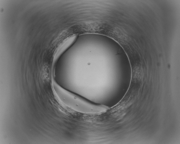 X0000062871202200601131432