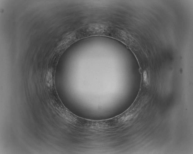 X0000062871203200601131432