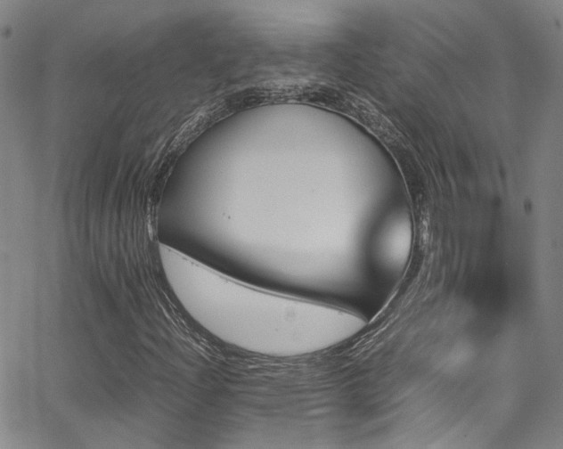 X0000062871204200601131432