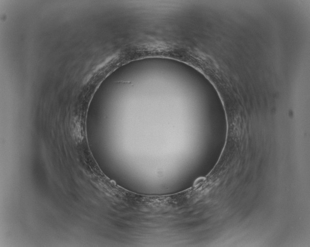 X0000062871205200601131432