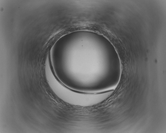 X0000062871206200601131432