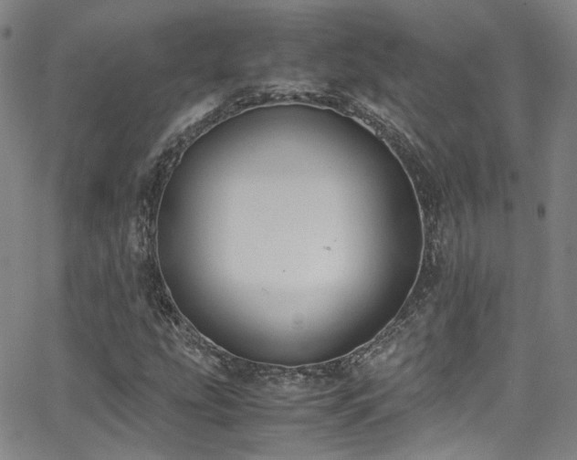 X0000062871207200601131432