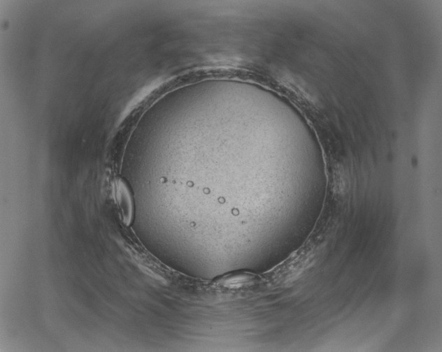 X0000062871208200601131432