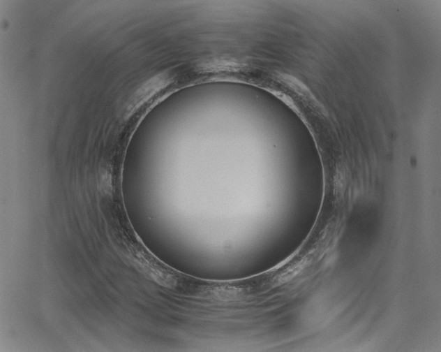 X0000062871209200601131432