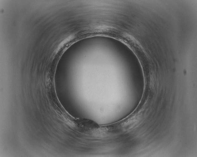 X0000062871210200601131432