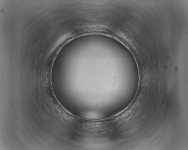 X0000062871211200601131432