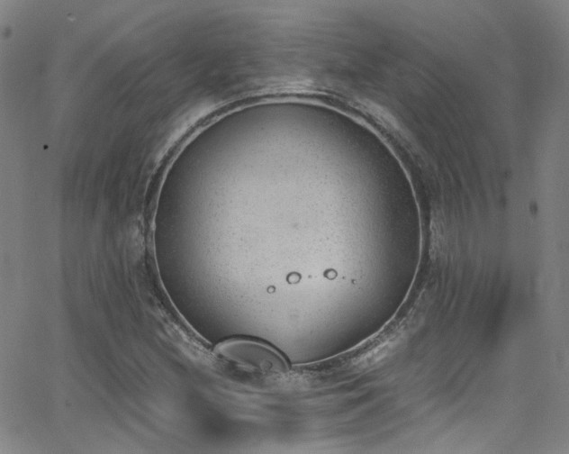 X0000062871212200601131432