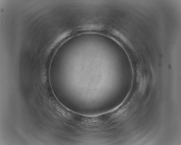 X0000062871213200601131432