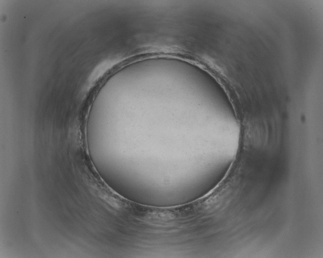 X0000062871215200601131433