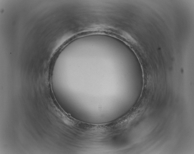 X0000062871216200601131433