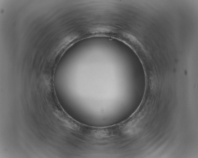 X0000062871217200601131433