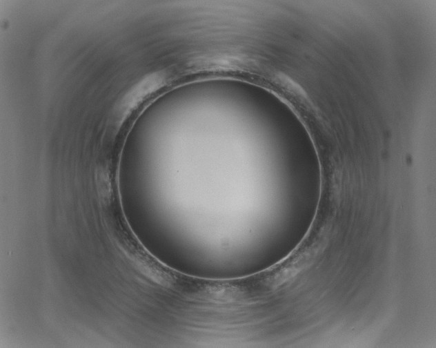 X0000062871218200601131433