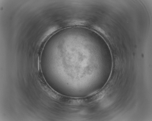 X0000062871219200601131433