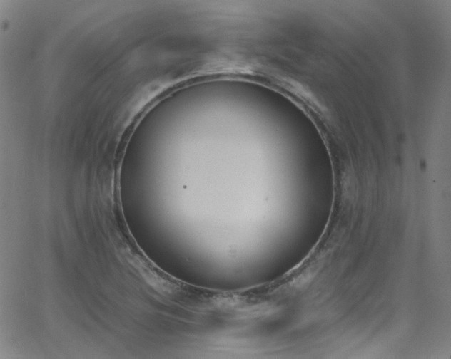 X0000062871220200601131433