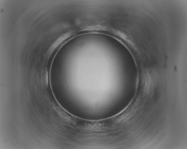 X0000062871221200601131433