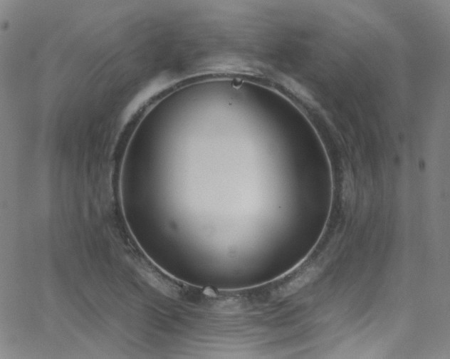 X0000062871222200601131433