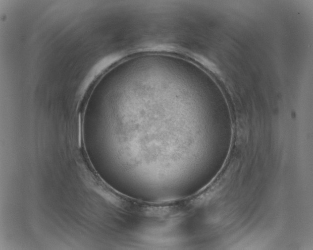 X0000062871223200601131433