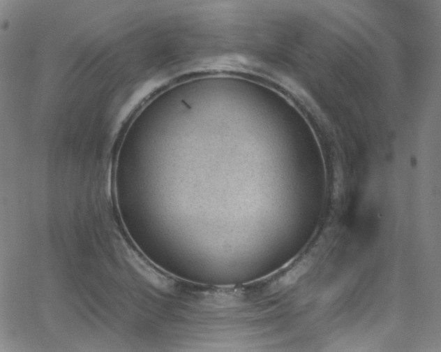 X0000062871224200601131433