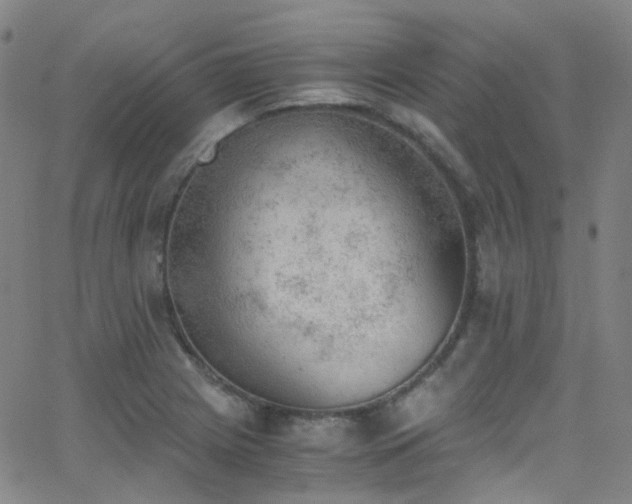 X0000062871225200601131433