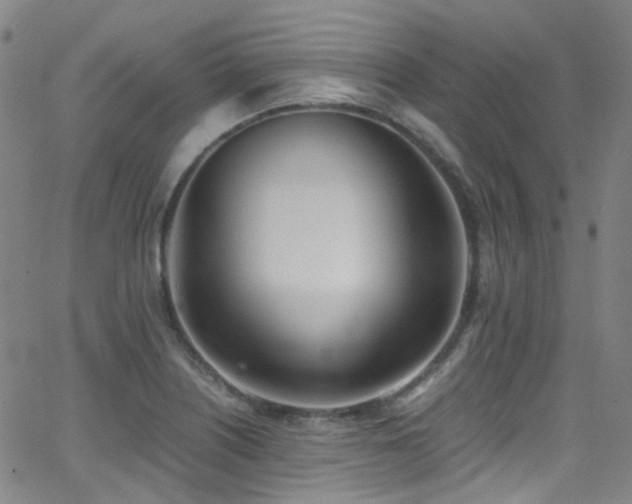 X0000062871226200601131433