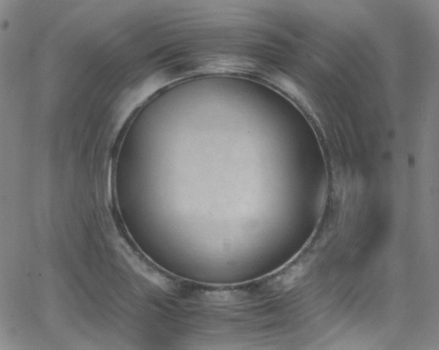 X0000062871227200601131433