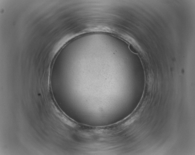 X0000062871228200601131433