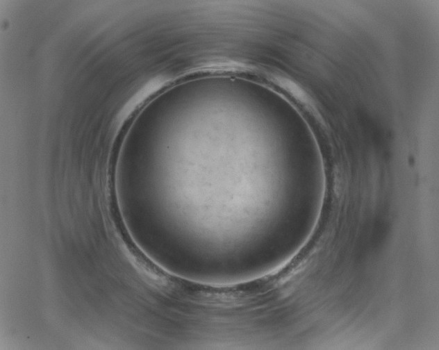 X0000062871229200601131433