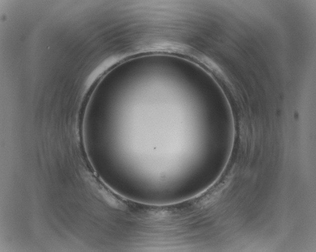 X0000062871230200601131433