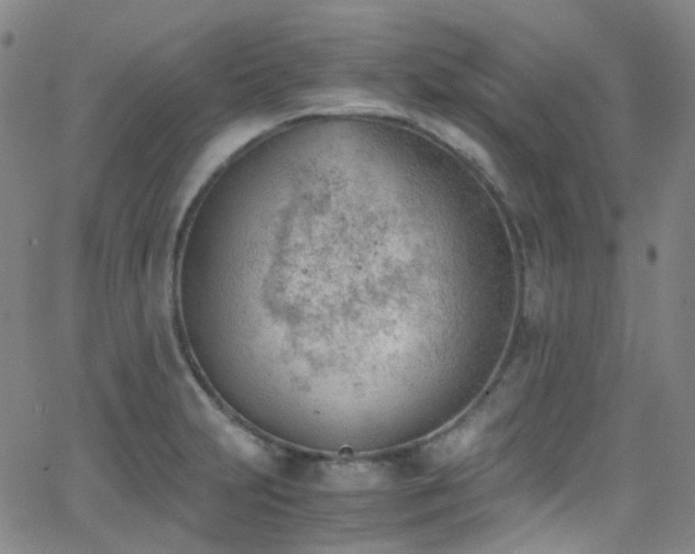 X0000062871231200601131433